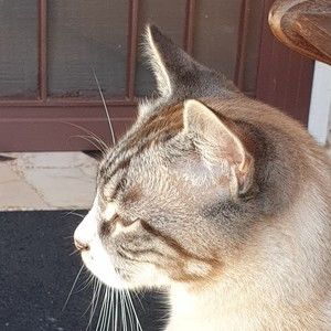 Meet your Posher, Katya